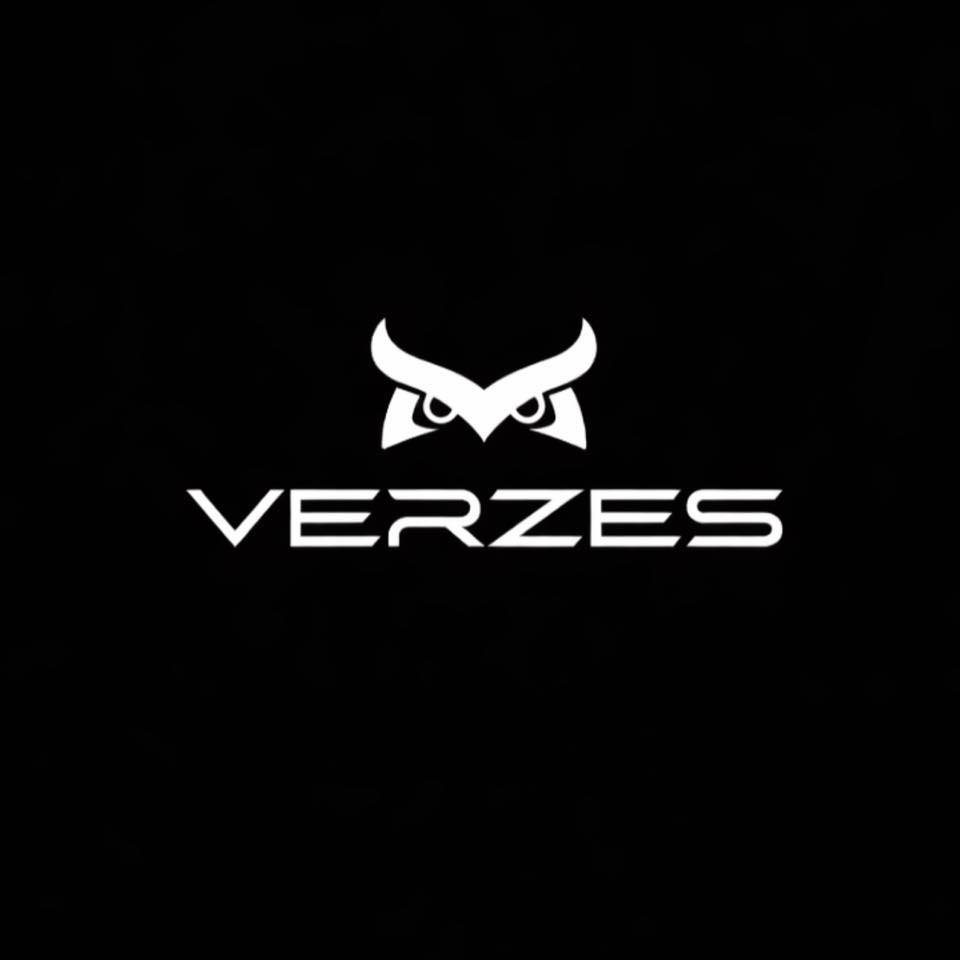VERZES Logo